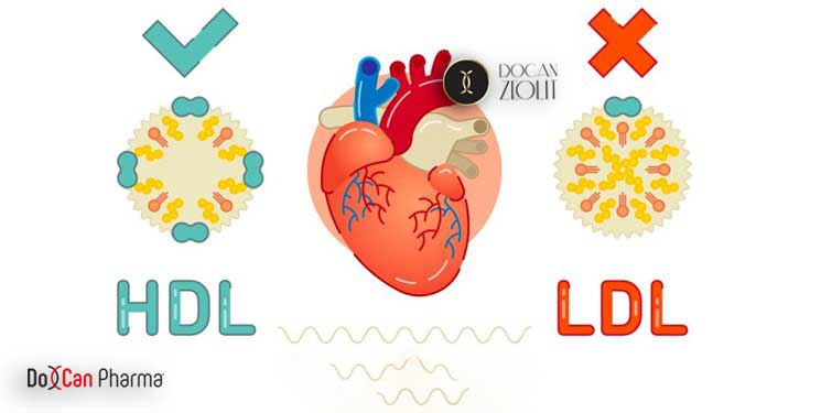 Kolesterol veya kan yağı ve Docan Zeolit