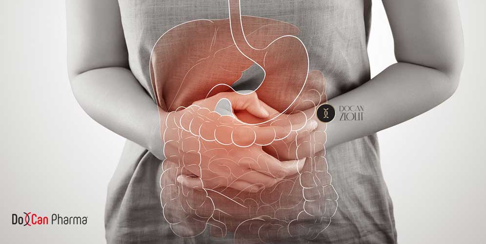 Sızdıran bağırsak için Docan Pharma'nın sağlık yararları